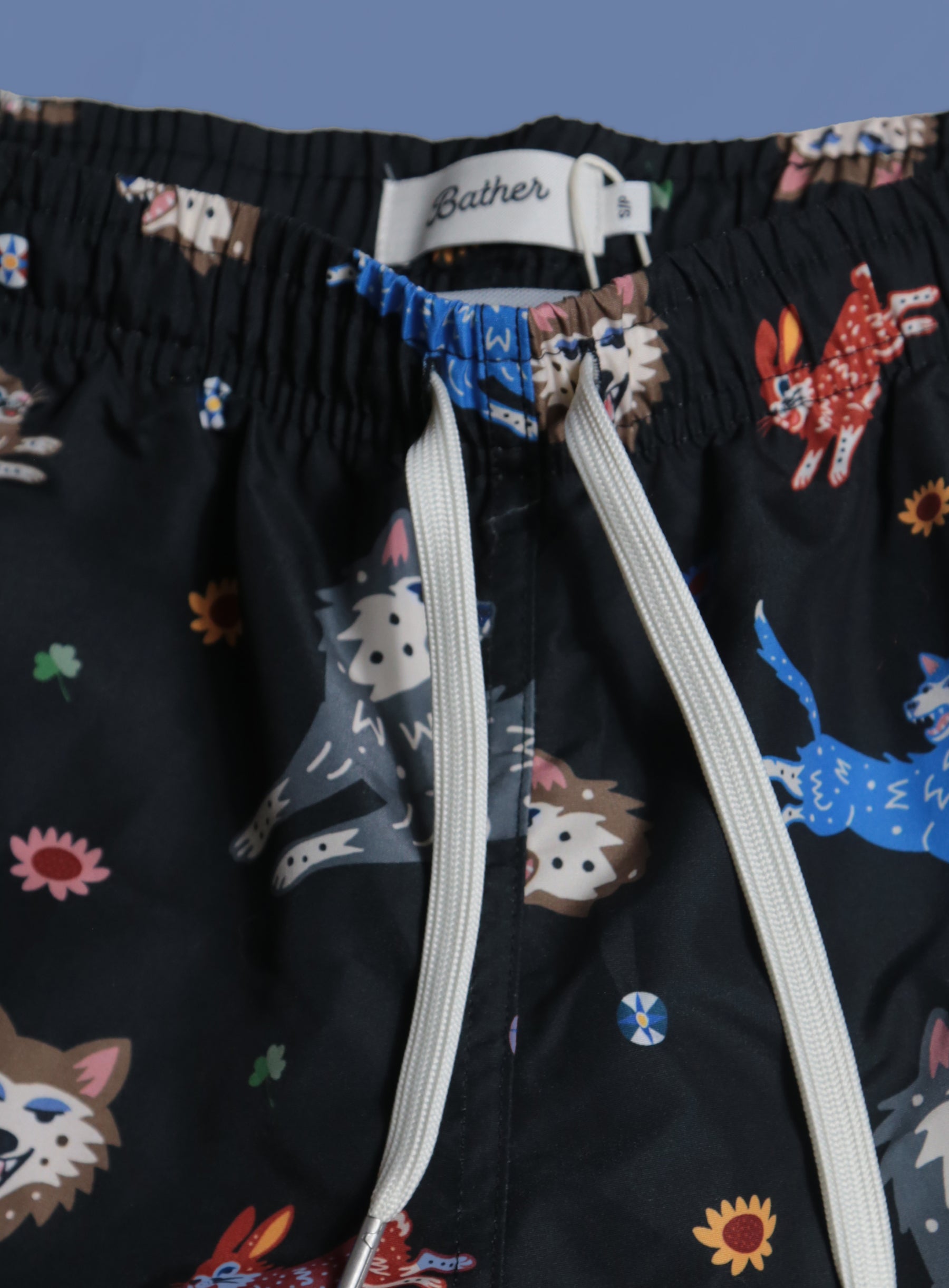 Swim Shorts - Lucky Bather