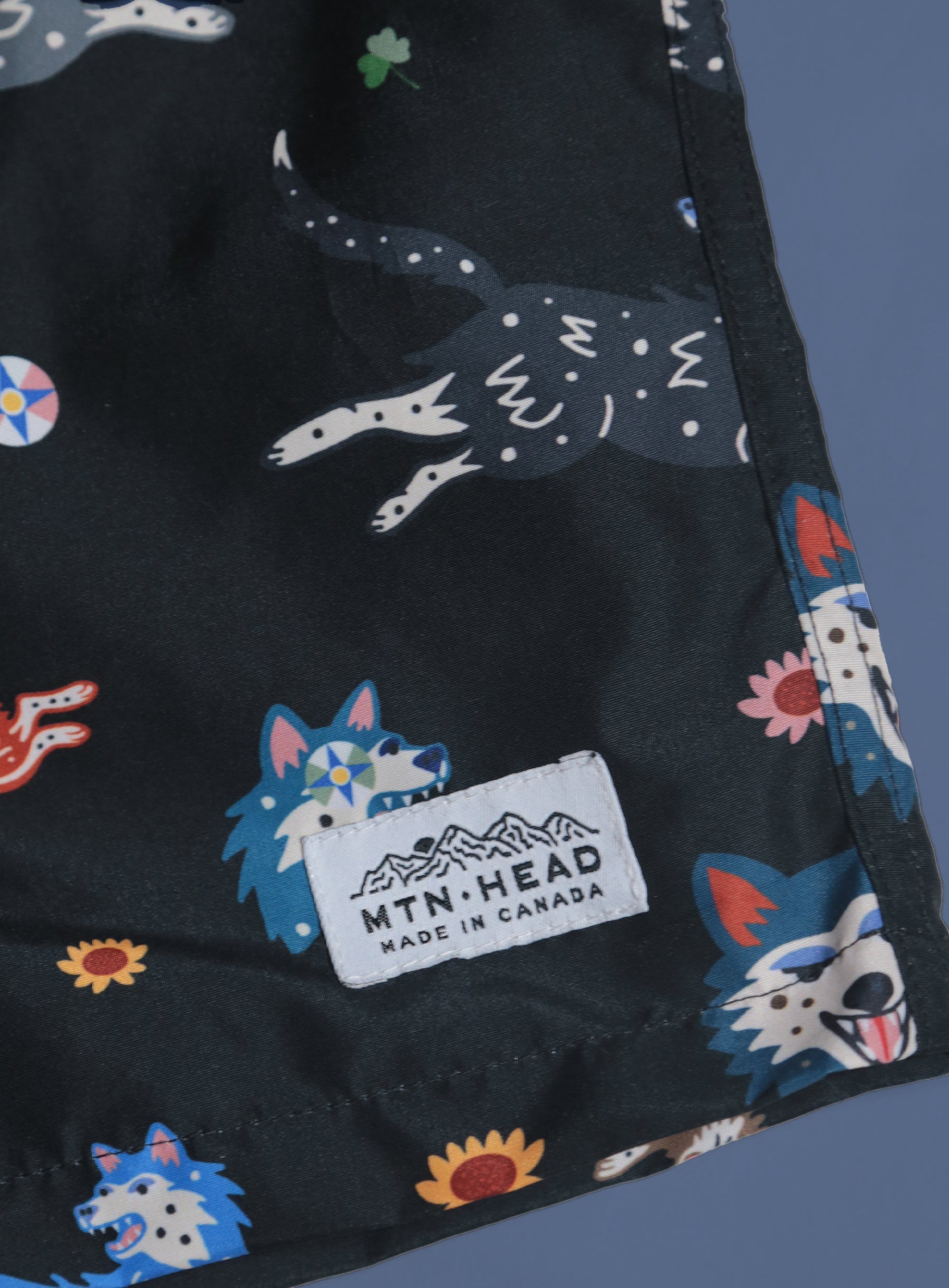 Swim Shorts - Lucky Bather