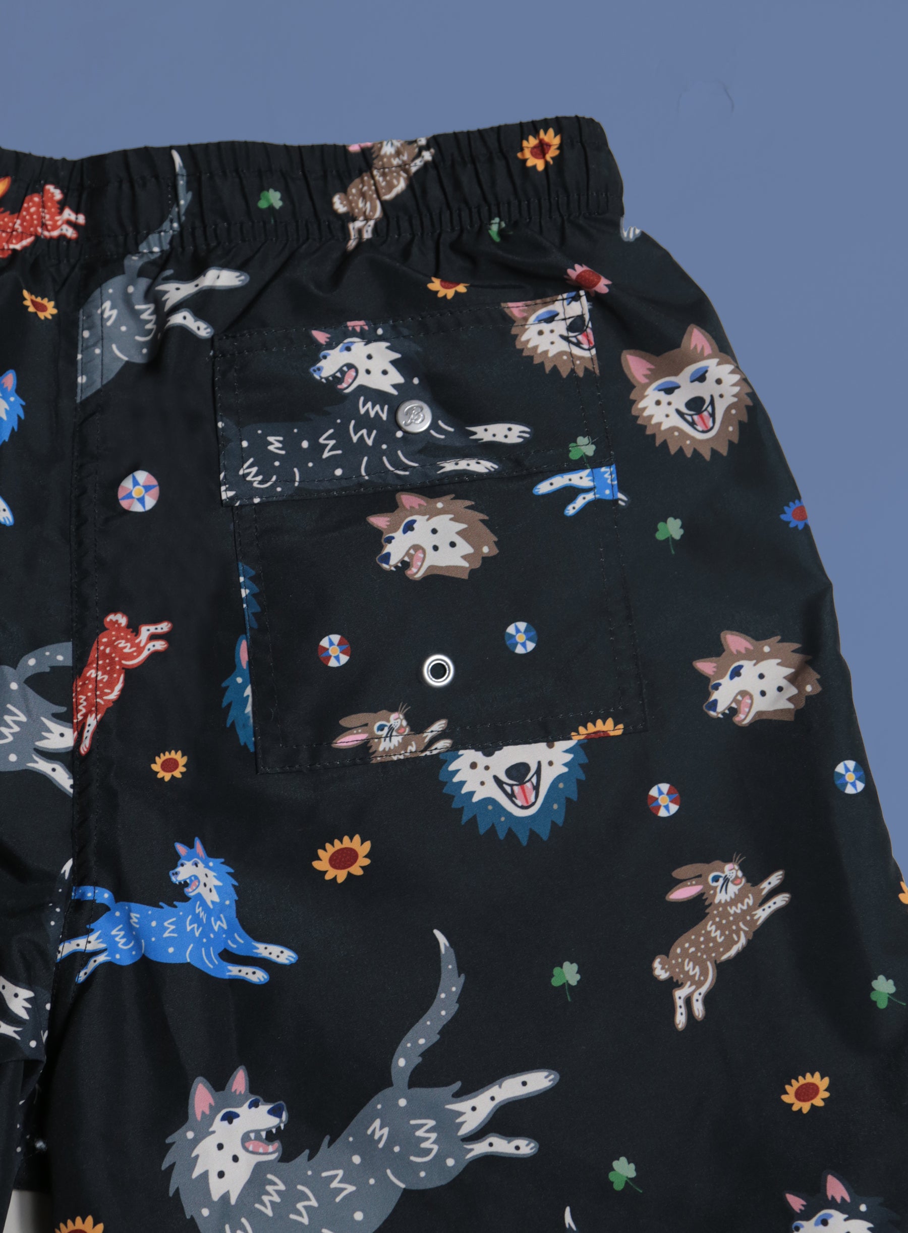 Swim Shorts - Lucky Bather