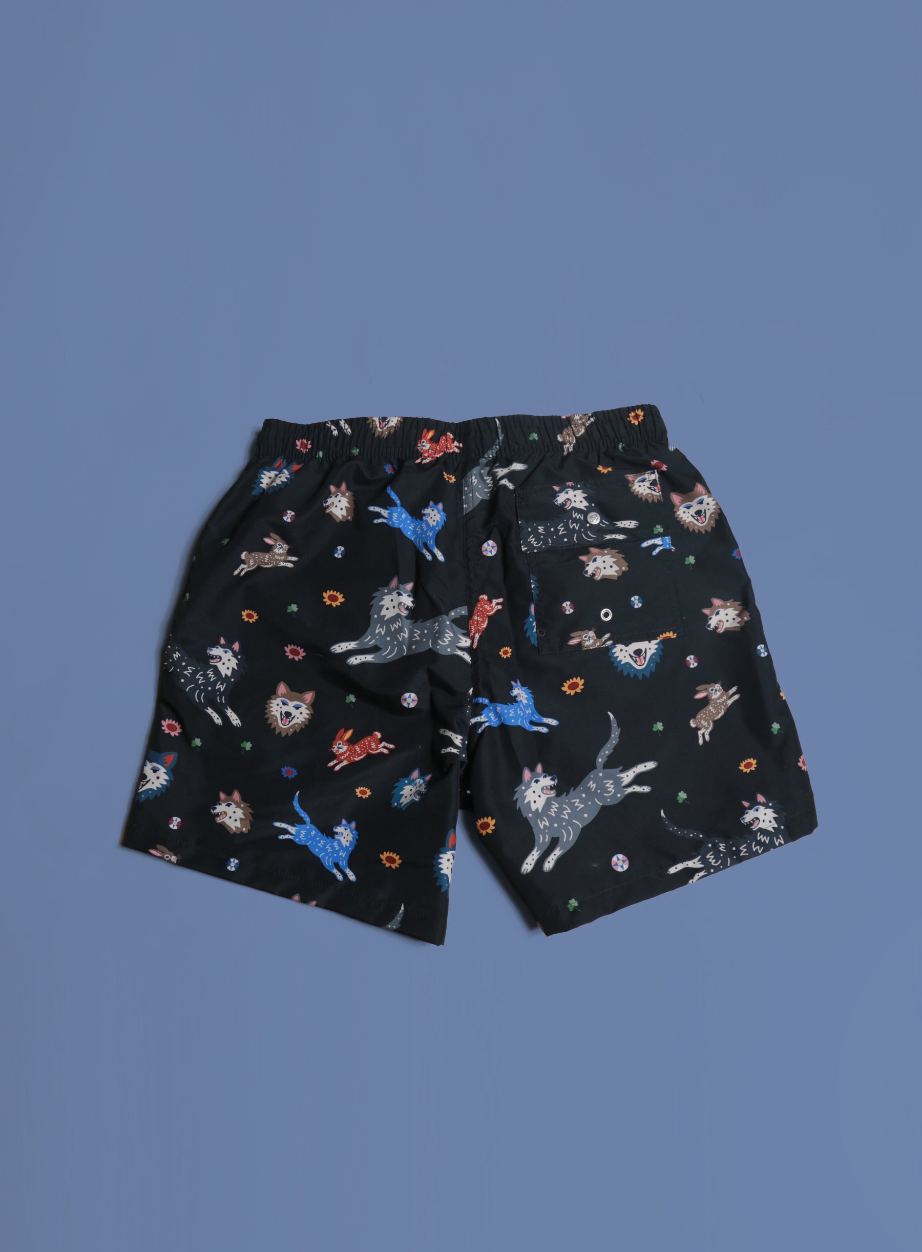Swim Shorts - Lucky Bather