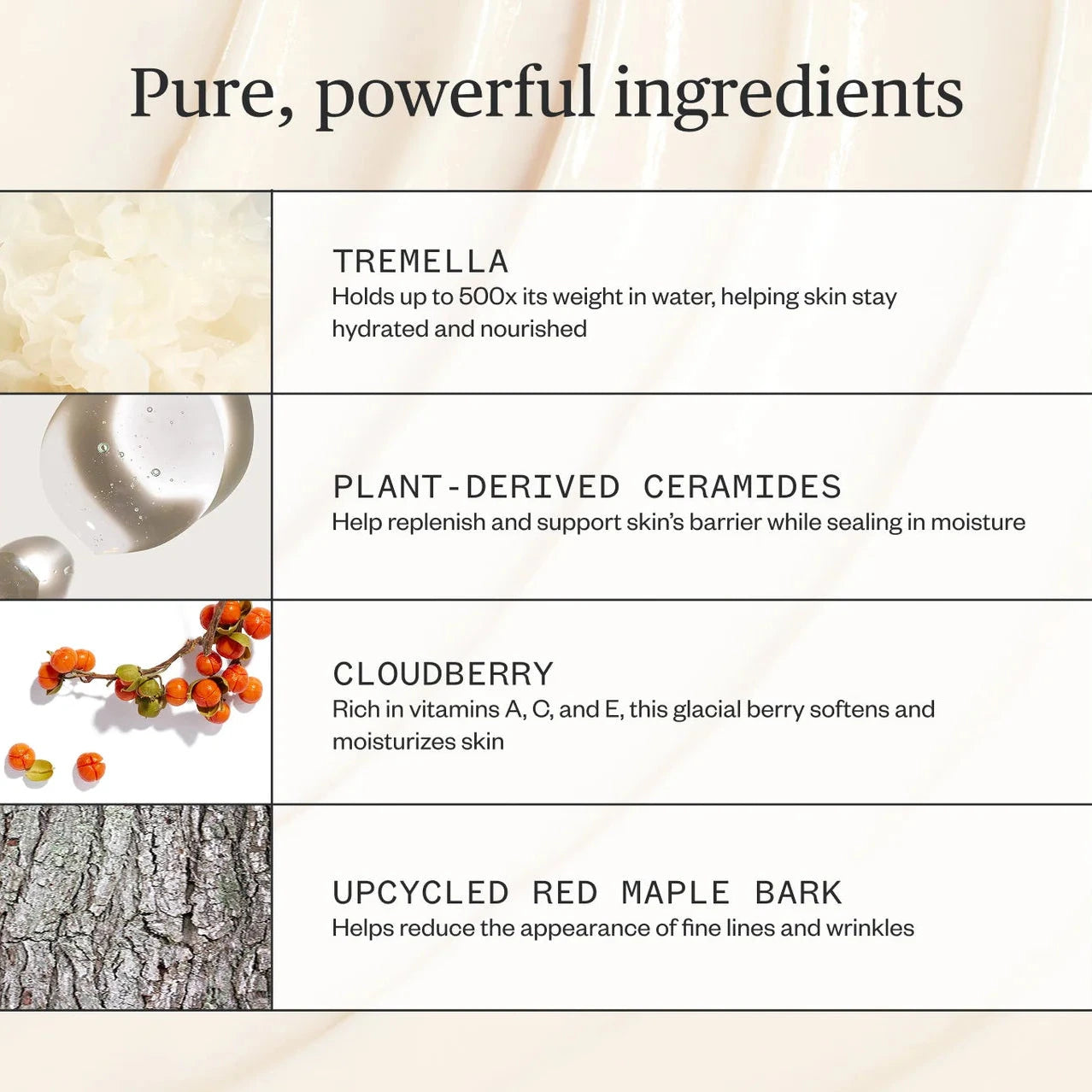 Ursa Major - Alpine Rich Cream