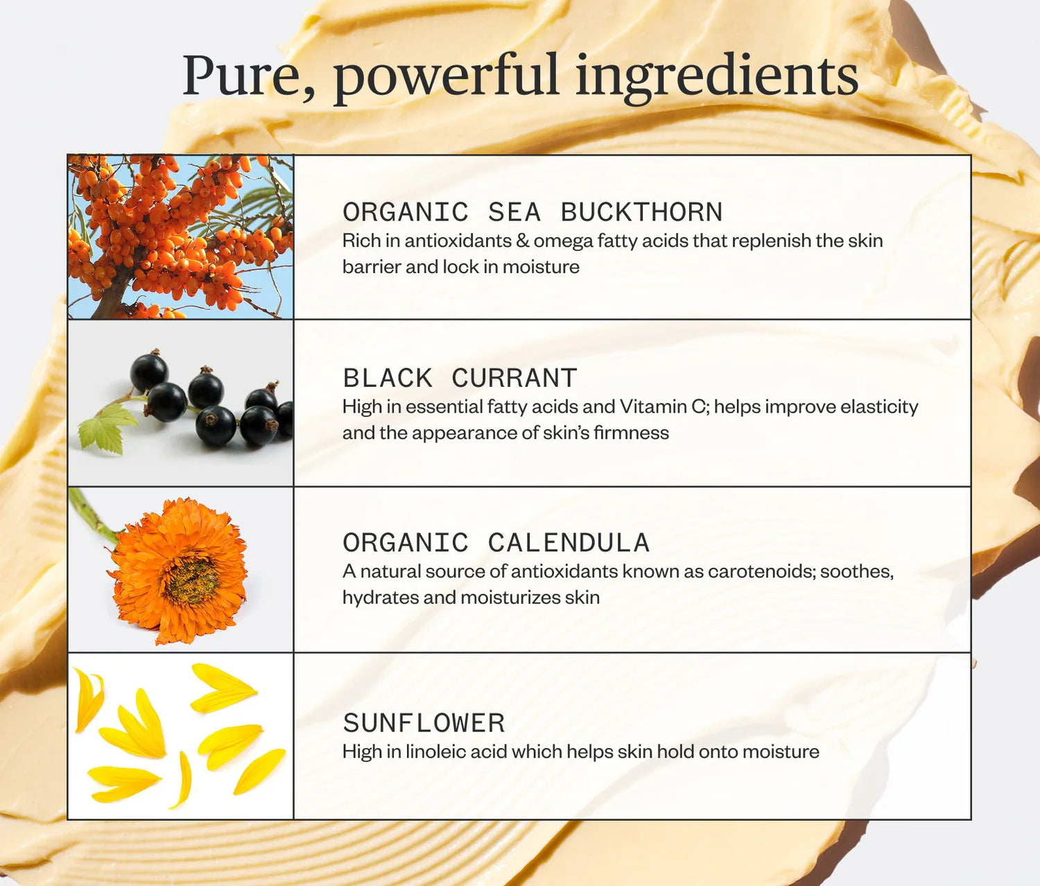 Ursa Major - Golden Hour Recovery Cream - Traveler