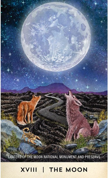 Tarot for the Great Outdoors - 78 Card Deck & Guidebook